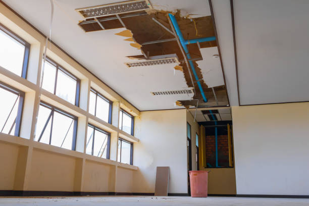 Best 24/7 water damage repair  in Kemah, TX