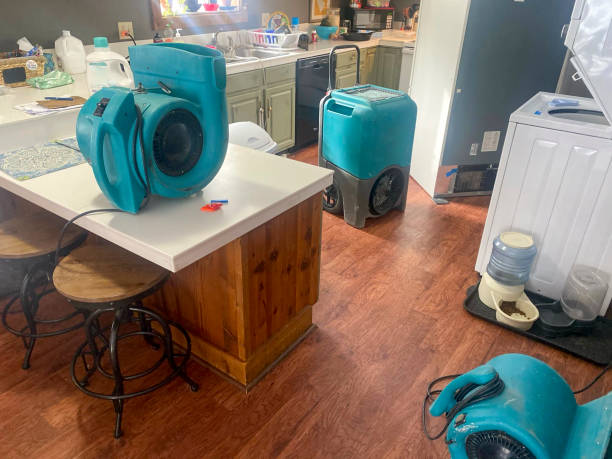 Best Mold removal after water damage  in Kemah, TX