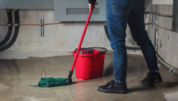 Water damage restoration mold remediation in Kemah, TX