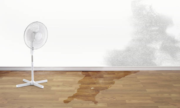 Best Water damage repair service  in Kemah, TX