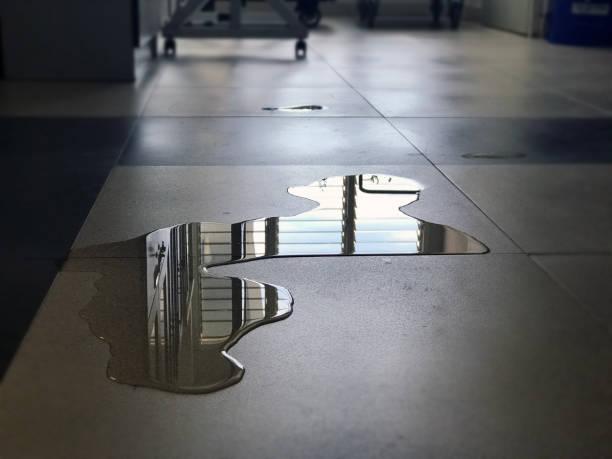 Best Water damage restoration near me  in Kemah, TX