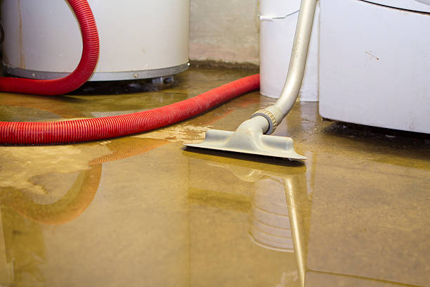 Professional Water damage restoration in Kemah, TX