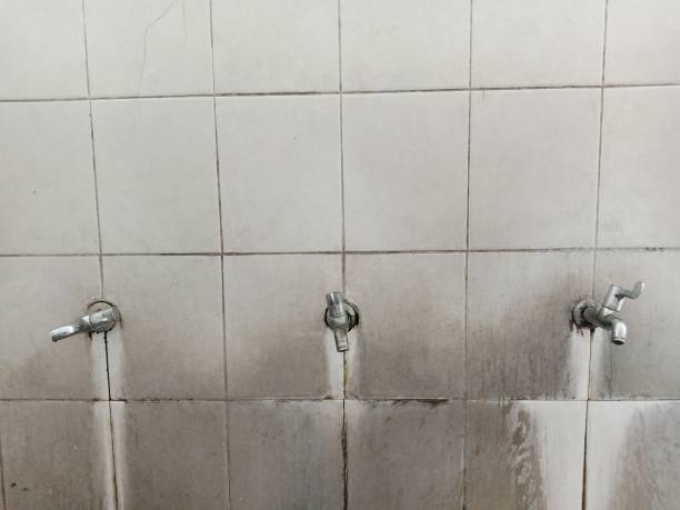 Best Water damage contractors near me  in Kemah, TX