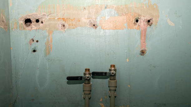 Best Water damage contractors near me  in Kemah, TX