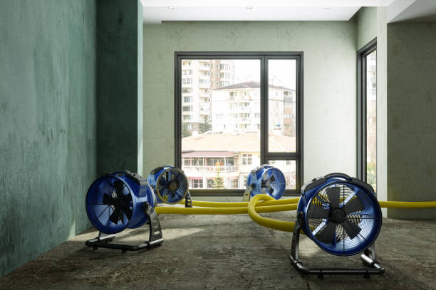  Kemah, TX Water damage restoration Pros